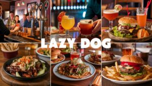 Lazy Dog Happy Hour Times with Menu [Late Night Happy Hour]